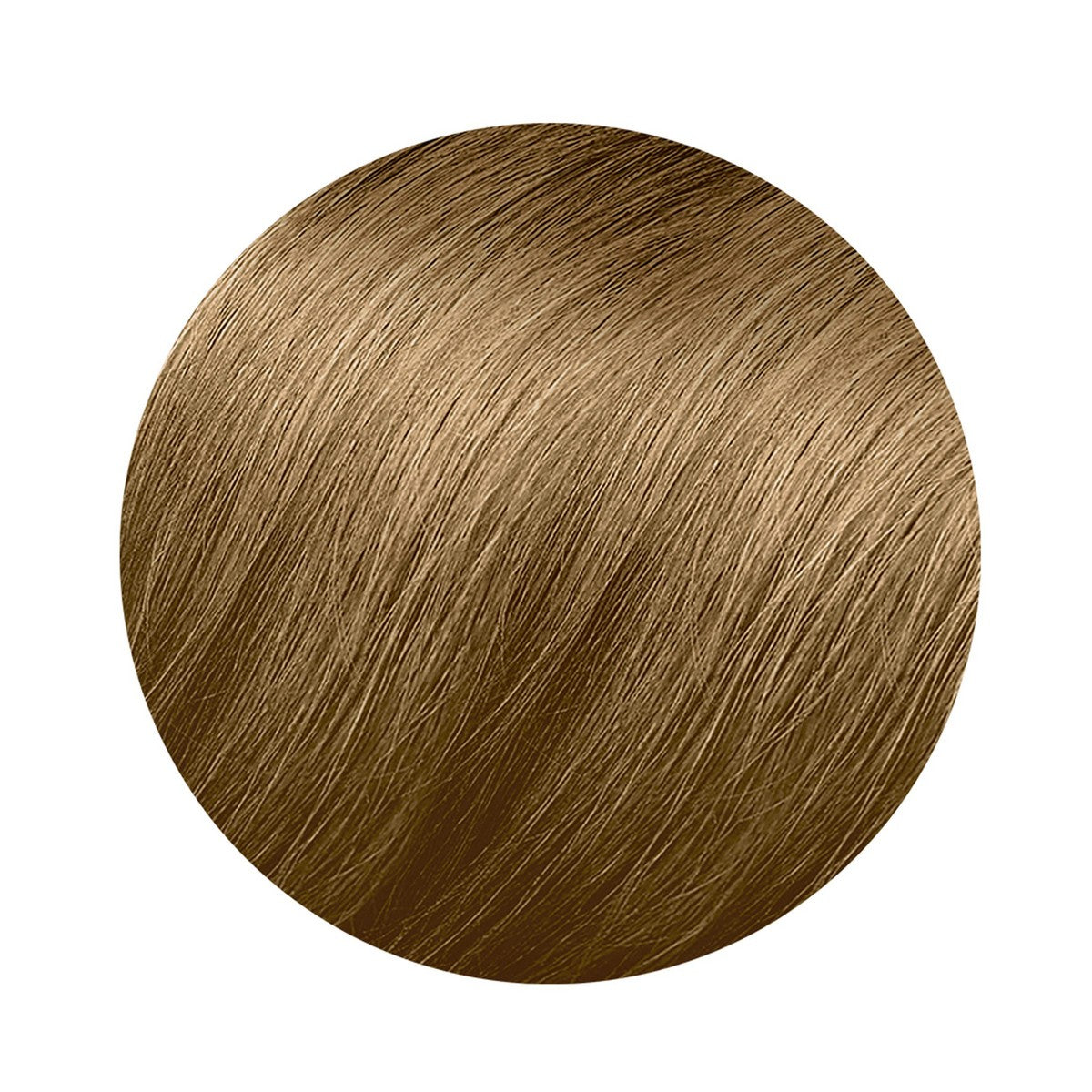 Permanent Colour Phyto Paris Color 8.3-light golden blonde 3 Pieces.